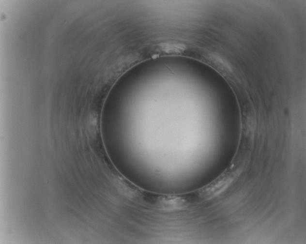 X0000063510321200601271817