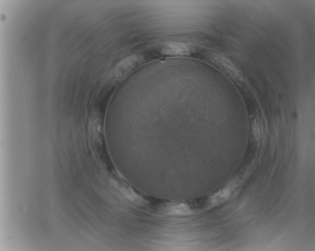 X0000063510322200601271817