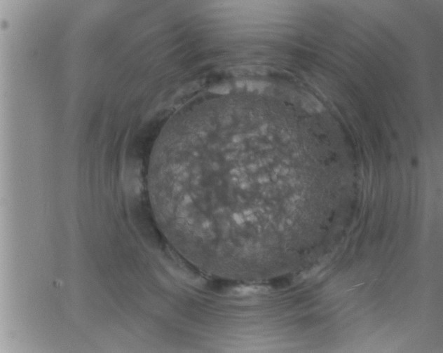 X0000063510323200601271817