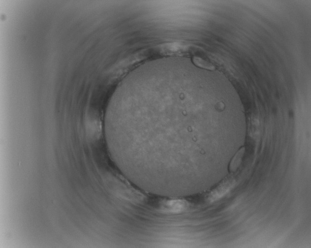 X0000063510324200601271817