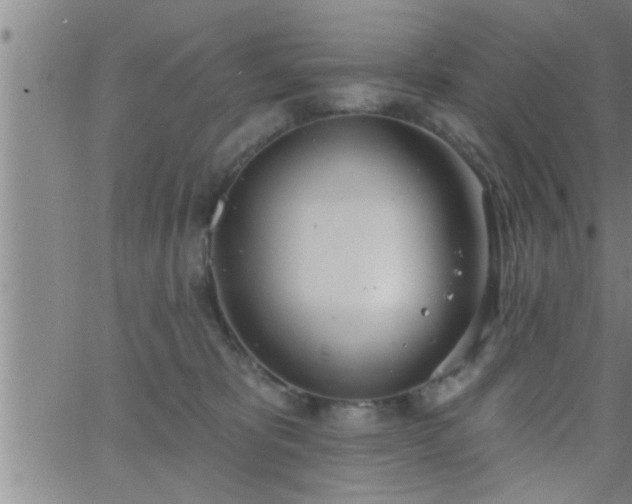 X0000063510325200601271817