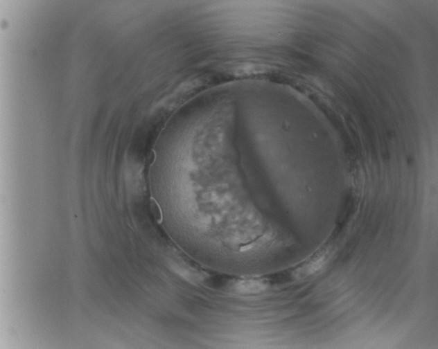 X0000063510327200601271817