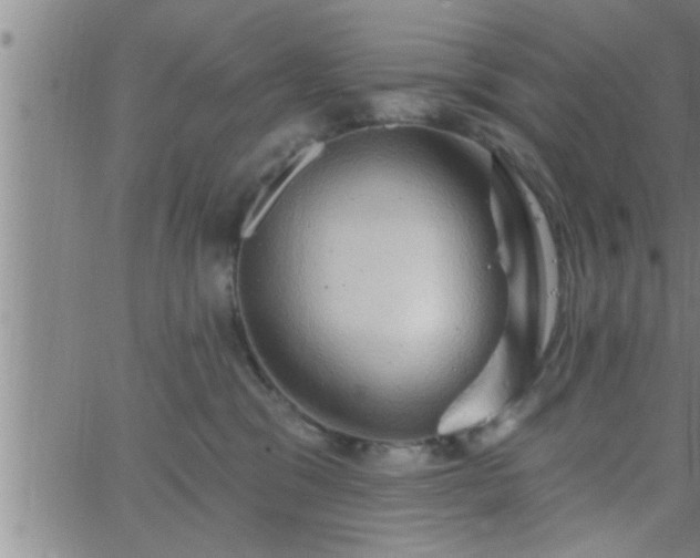 X0000063510329200601271817