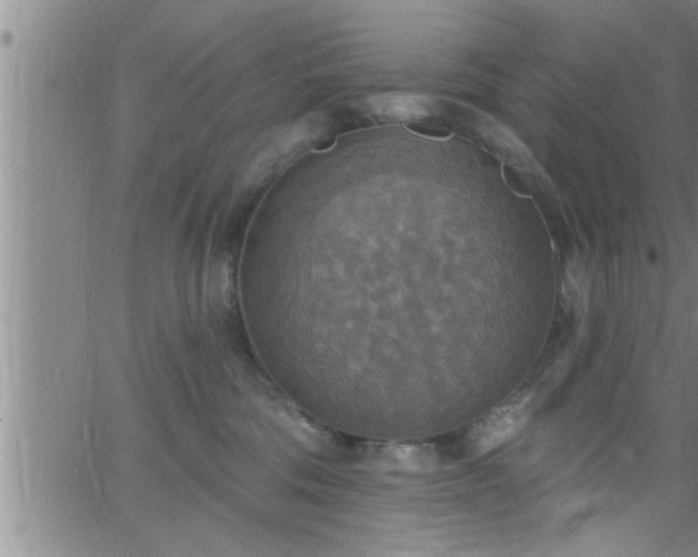 X0000063510330200601271817