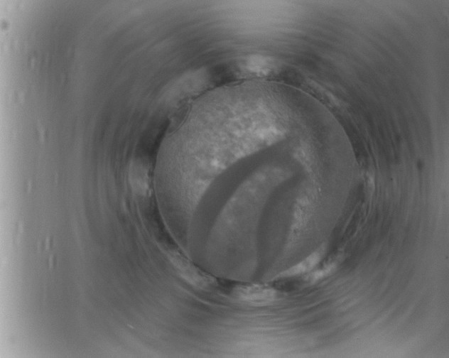 X0000063510331200601271817