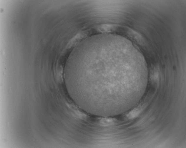 X0000063510332200601271817