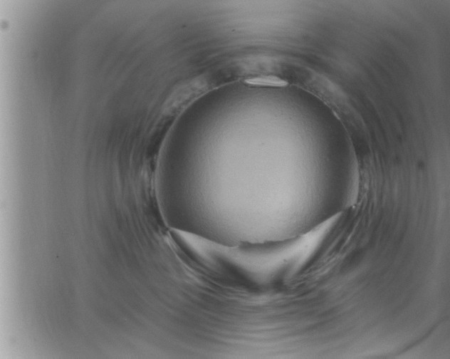 X0000063510333200601271817