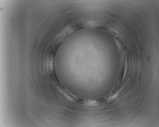 X0000063510334200601271817