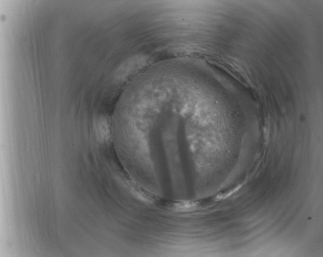 X0000063510335200601271817