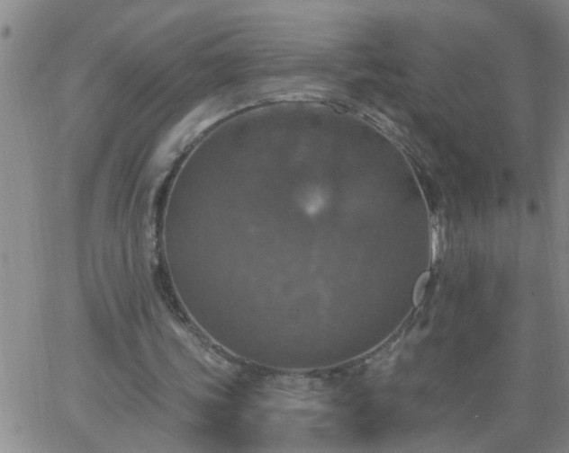 X0000063510339200601271816