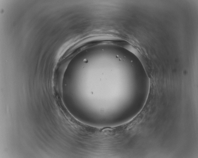 X0000063510340200601271816