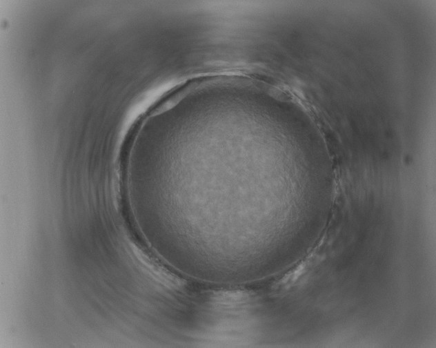 X0000063510342200601271816