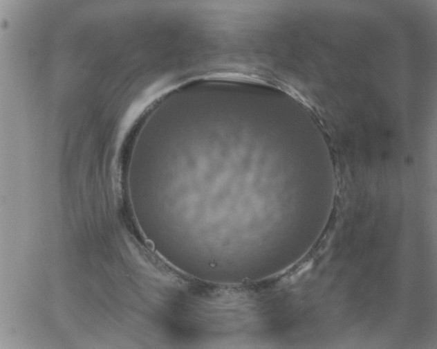 X0000063510343200601271816