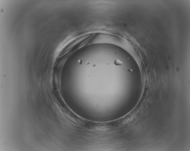 X0000063510344200601271816