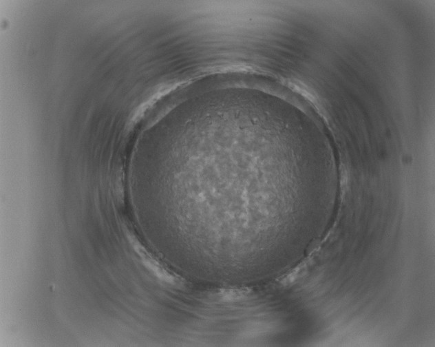 X0000063510345200601271816