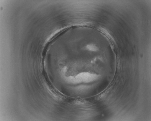 X0000063510346200601271816