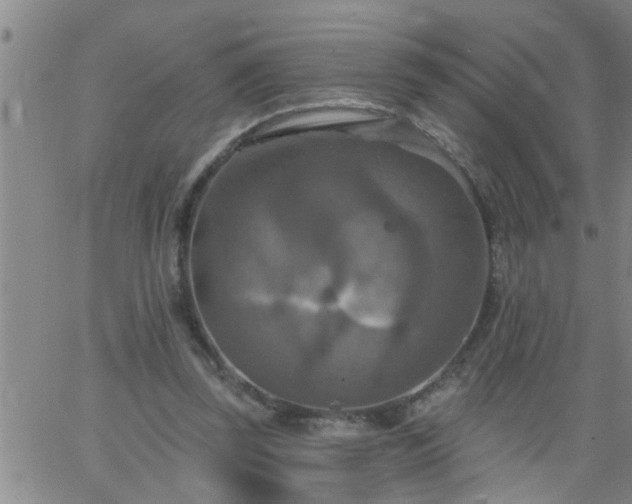 X0000063510347200601271816