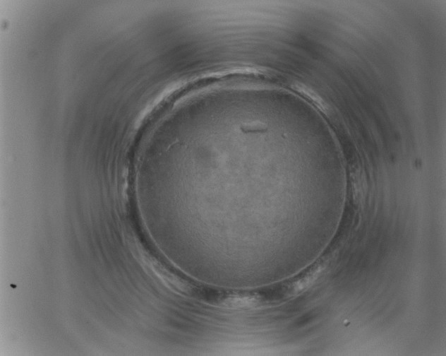 X0000063510350200601271816