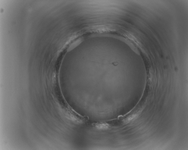 X0000063510355200601271816