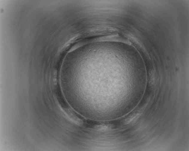 X0000063510356200601271816