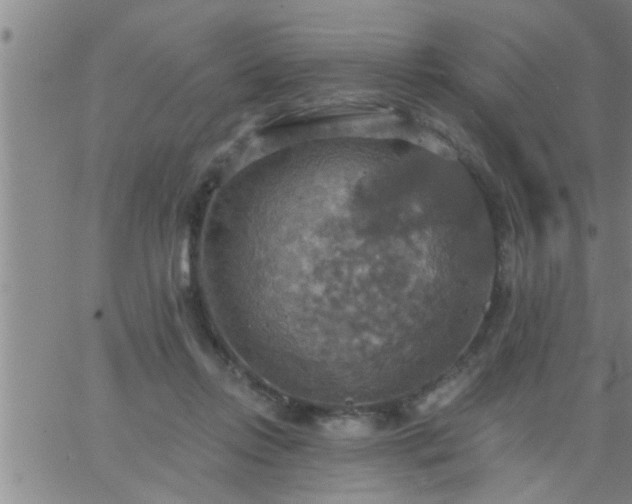 X0000063510358200601271816