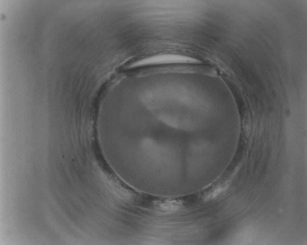 X0000063510359200601271816