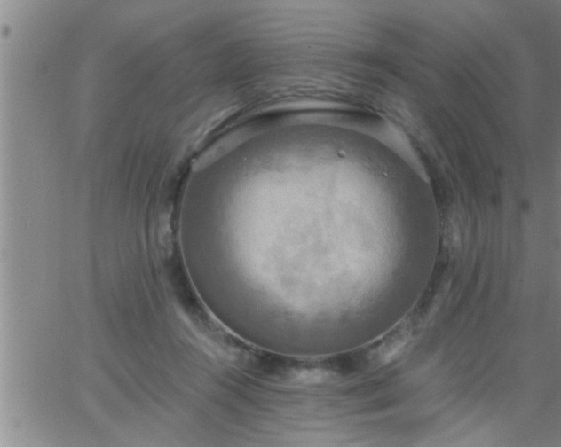 X0000063510360200601271816