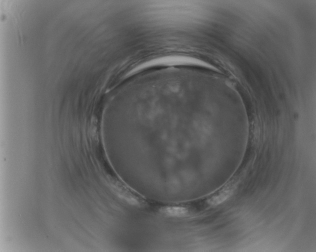 X0000063510361200601271816