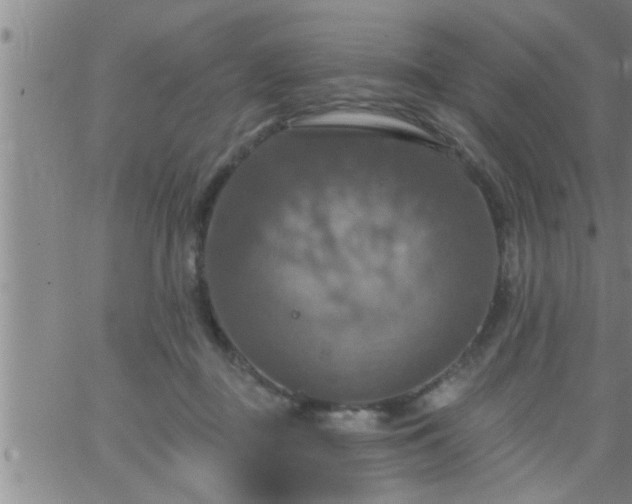 X0000063510363200601271816