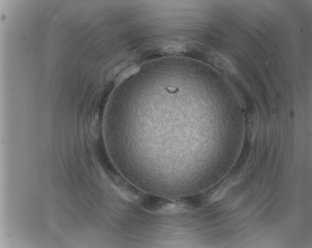 X0000063510364200601271816