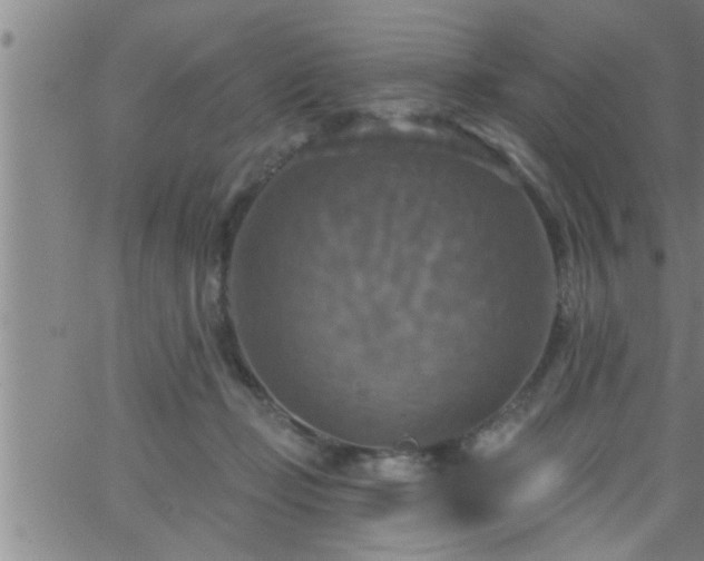 X0000063510365200601271816