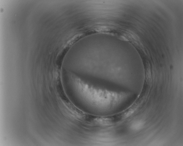 X0000063510367200601271816