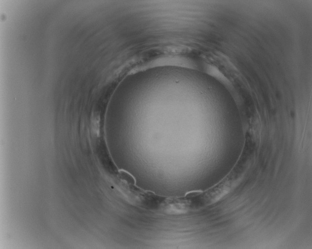 X0000063510368200601271816