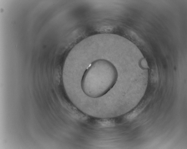 X0000063510370200601271816