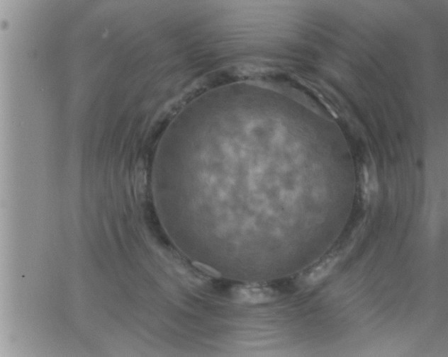 X0000063510372200601271817