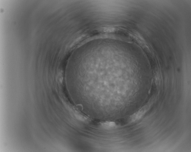 X0000063510374200601271817