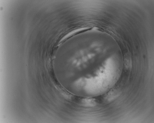 X0000063510375200601271817