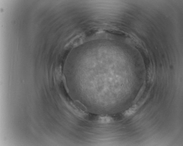 X0000063510376200601271817