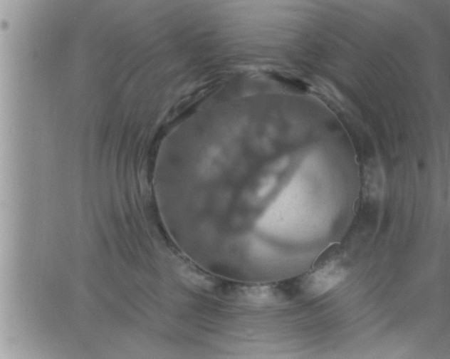 X0000063510377200601271817