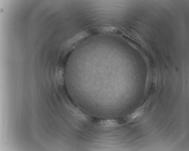 X0000063510378200601271817