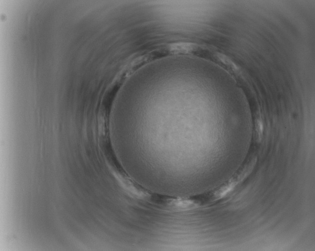 X0000063510379200601271817