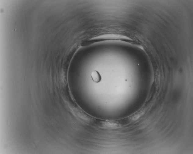 X0000063510380200601271817