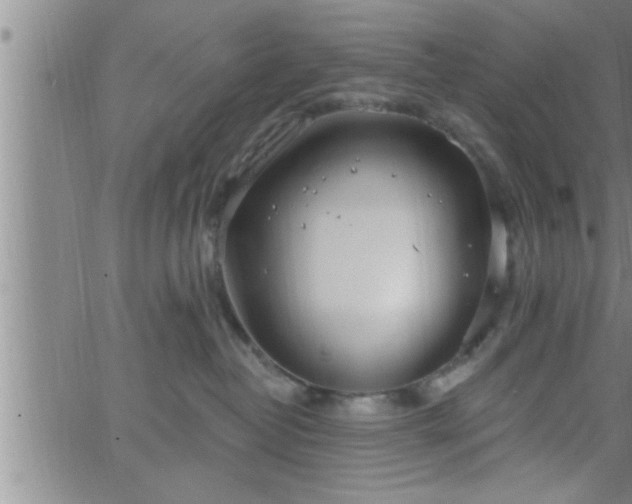 X0000063510382200601271817