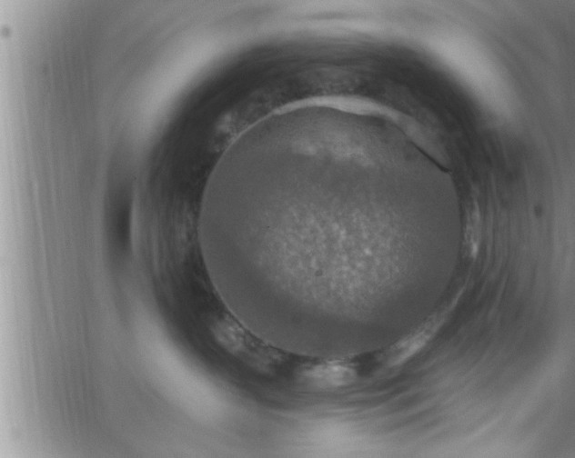 X0000063510383200601271817