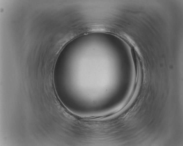 X0000063510385200601271816