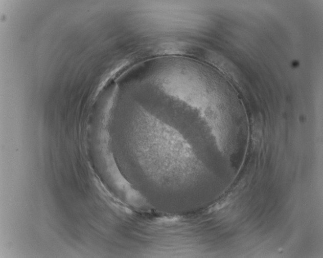 X0000063510386200601271816