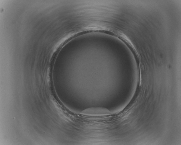 X0000063510387200601271816