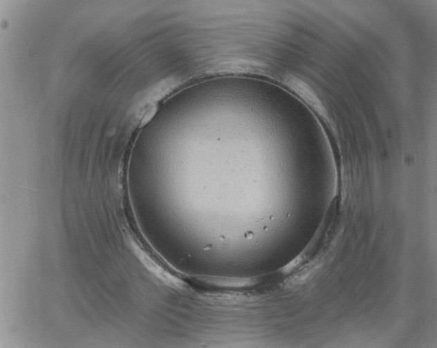 X0000063510389200601271816