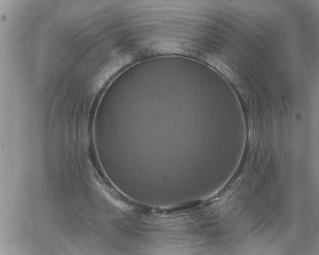 X0000063510390200601271816