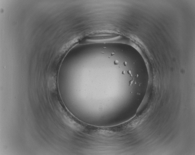 X0000063510393200601271816